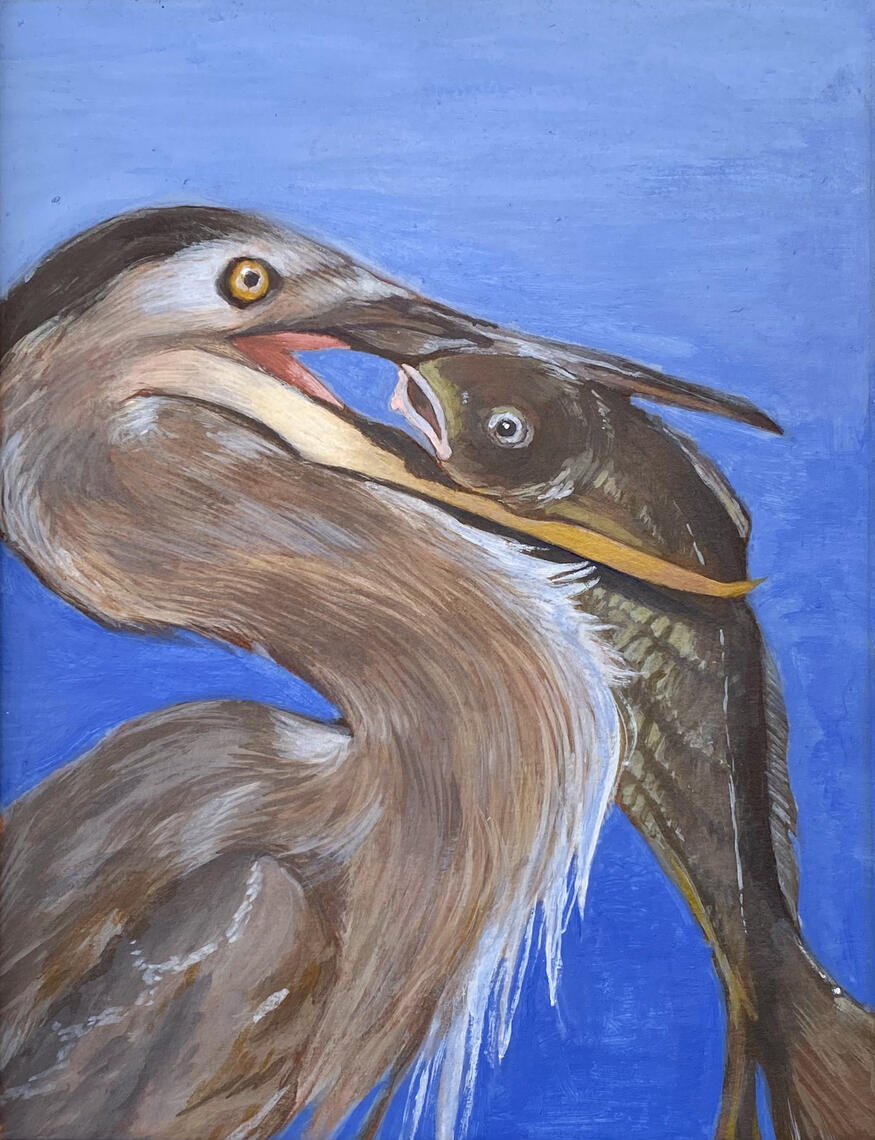 Great Blue Heron and Yellow Fin Croaker in Acrylic Paint (reference: @wingsinmotion)