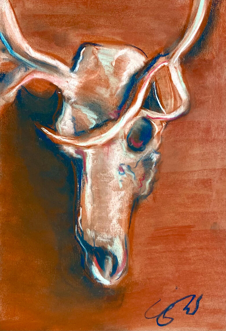 Elk Skull in Pastel